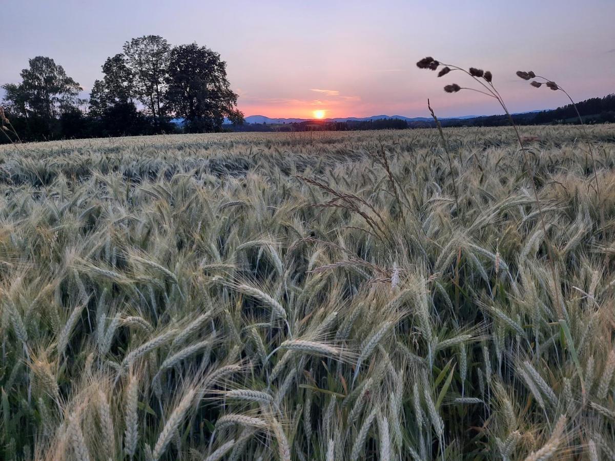 Grainmeisterhof Niederwaldkirchen Eksteriør billede