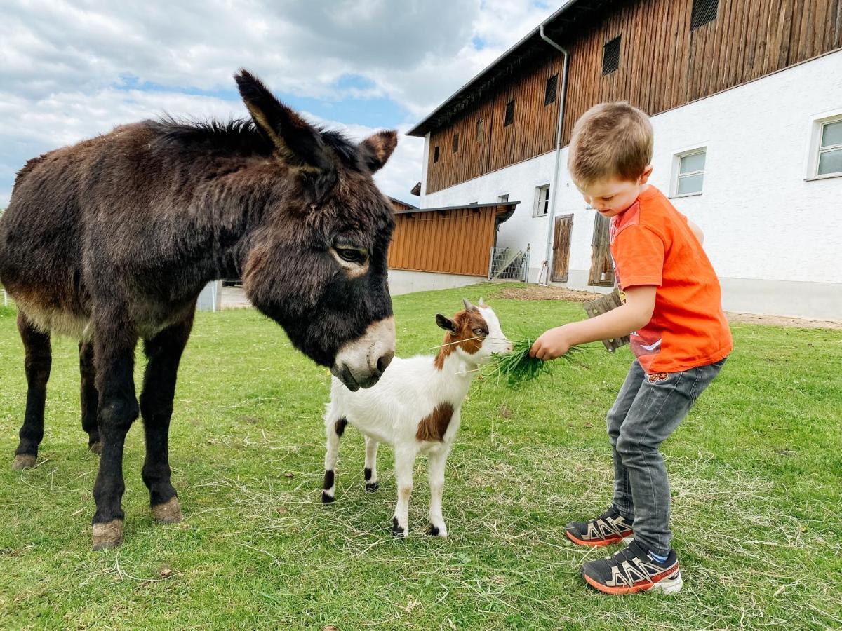Grainmeisterhof Niederwaldkirchen Eksteriør billede