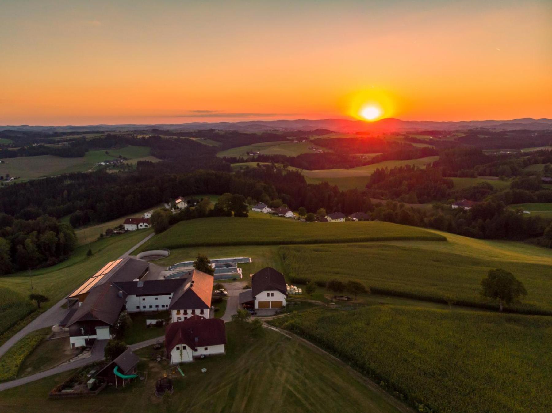 Grainmeisterhof Niederwaldkirchen Eksteriør billede