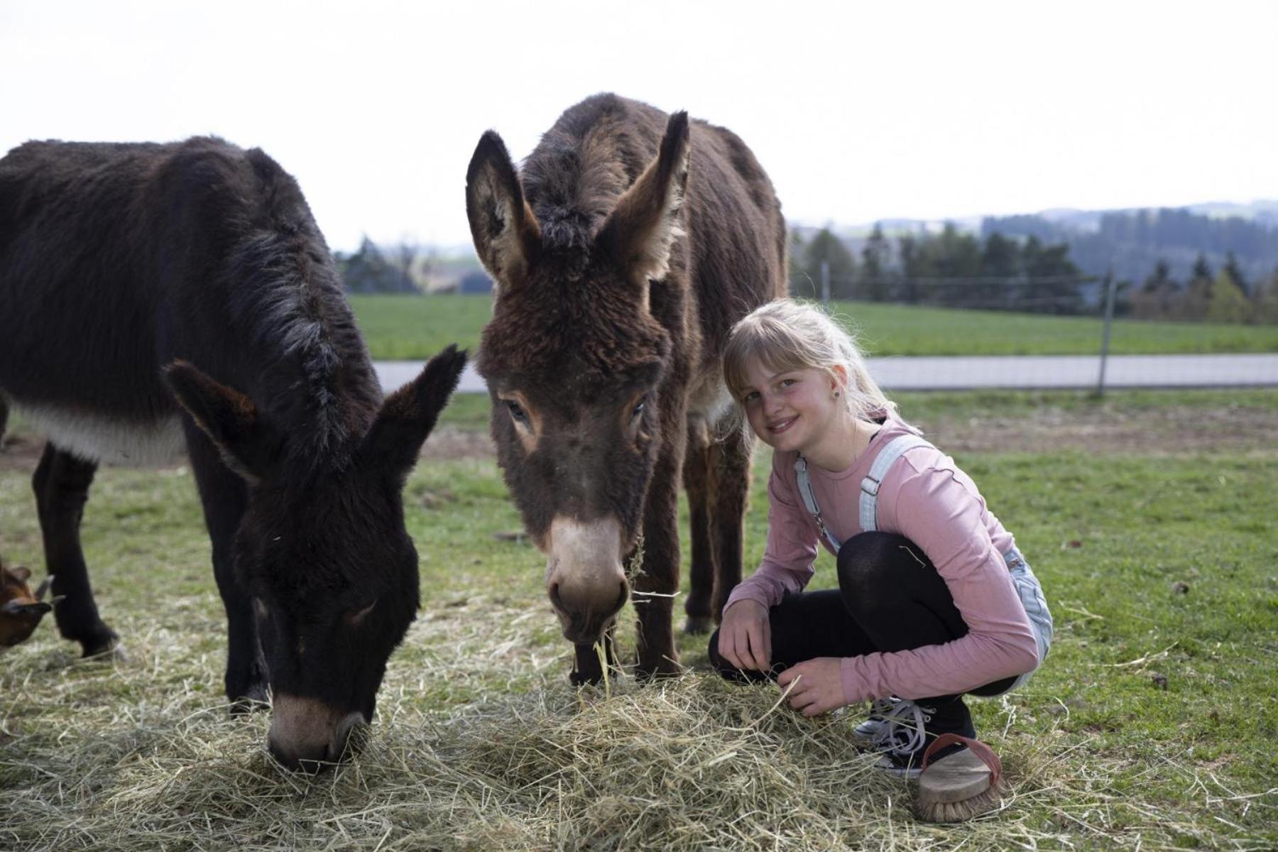 Grainmeisterhof Niederwaldkirchen Eksteriør billede